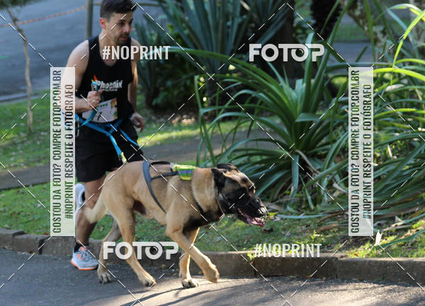 Buy your photos of the eventVai Tot� Canicross Caxias do Sul on Fotop