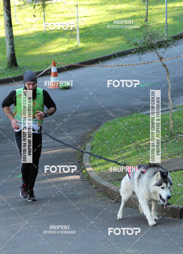 Buy your photos of the eventVai Tot� Canicross Caxias do Sul on Fotop