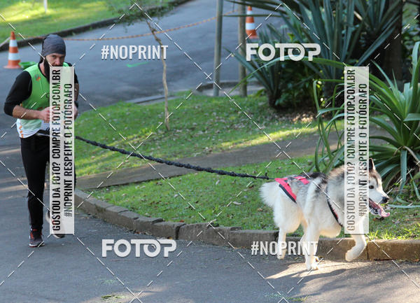 Buy your photos of the eventVai Tot� Canicross Caxias do Sul on Fotop