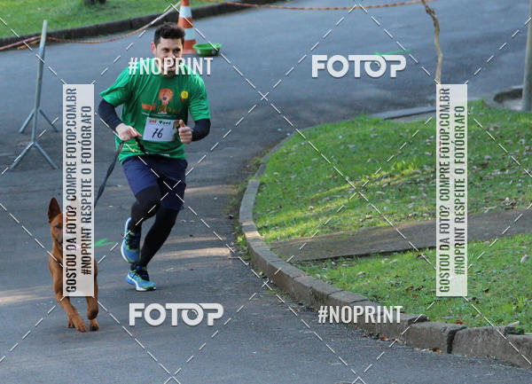 Buy your photos of the eventVai Tot� Canicross Caxias do Sul on Fotop
