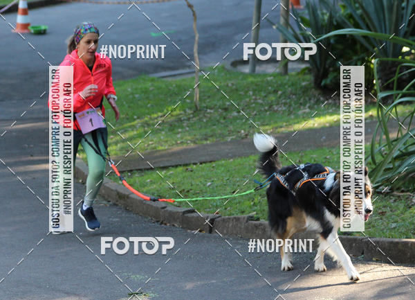 Buy your photos of the eventVai Tot� Canicross Caxias do Sul on Fotop