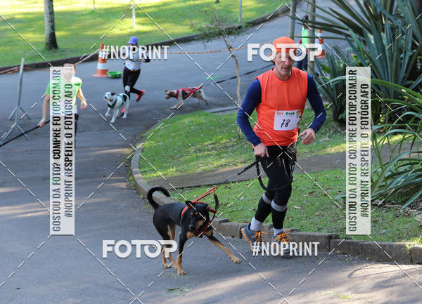 Buy your photos of the eventVai Tot� Canicross Caxias do Sul on Fotop