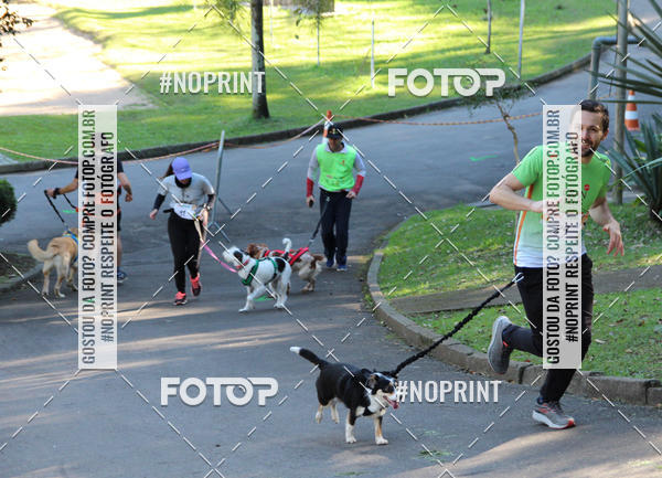 Buy your photos of the eventVai Tot� Canicross Caxias do Sul on Fotop