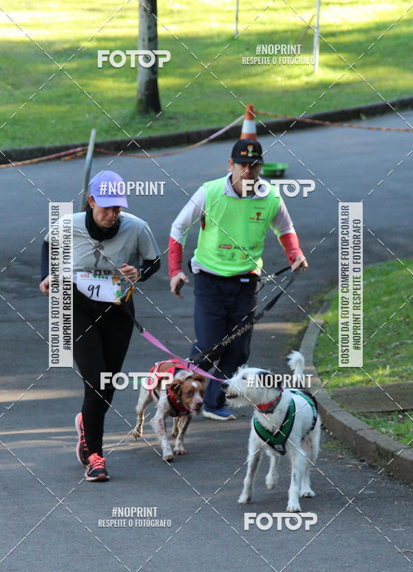 Buy your photos of the eventVai Tot� Canicross Caxias do Sul on Fotop