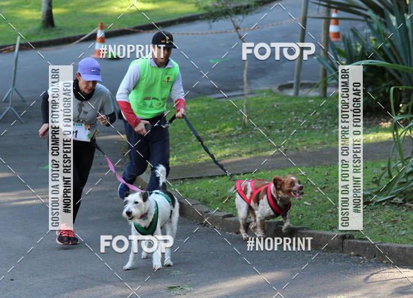 Buy your photos of the eventVai Tot� Canicross Caxias do Sul on Fotop