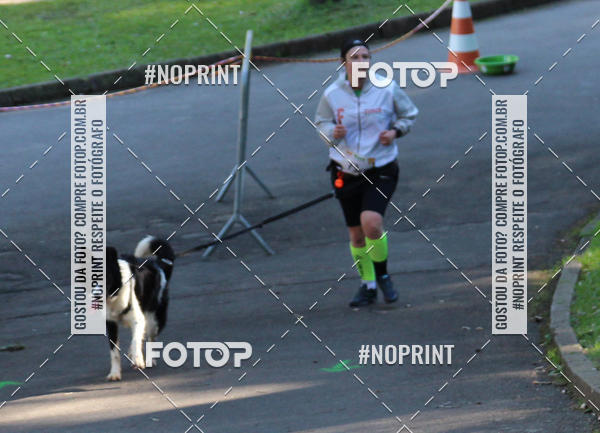 Buy your photos of the eventVai Tot� Canicross Caxias do Sul on Fotop