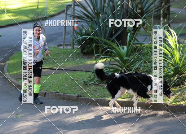 Buy your photos of the eventVai Tot� Canicross Caxias do Sul on Fotop