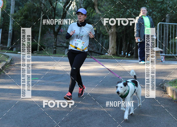 Buy your photos of the eventVai Tot� Canicross Caxias do Sul on Fotop