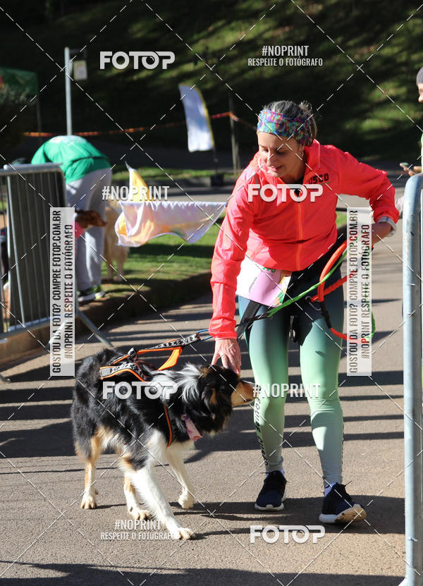 Buy your photos of the eventVai Tot� Canicross Caxias do Sul on Fotop