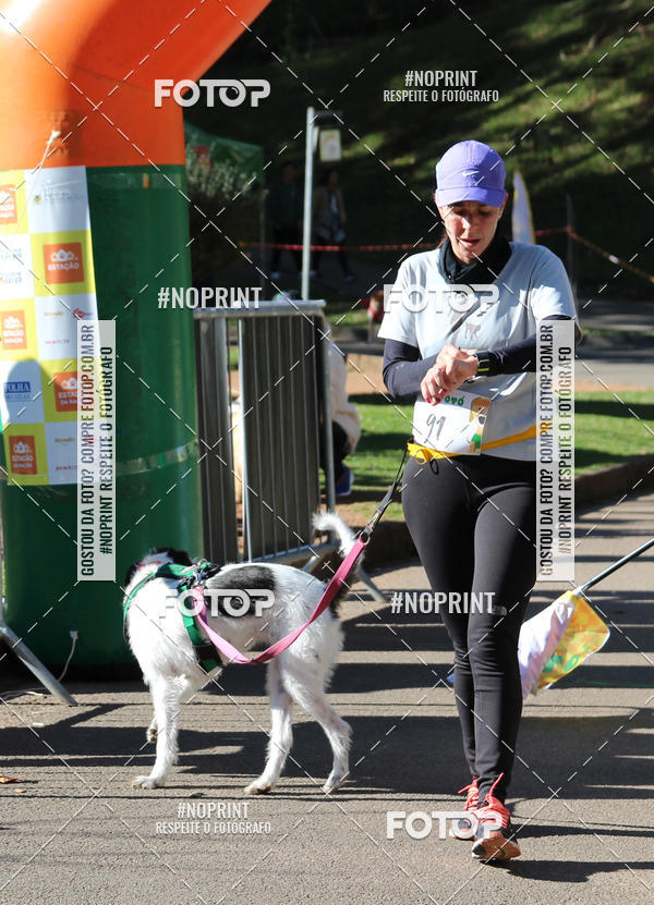 Buy your photos of the eventVai Tot� Canicross Caxias do Sul on Fotop