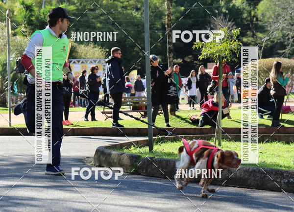 Buy your photos of the eventVai Tot� Canicross Caxias do Sul on Fotop