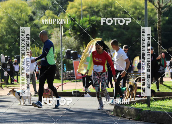 Buy your photos of the eventVai Tot� Canicross Caxias do Sul on Fotop