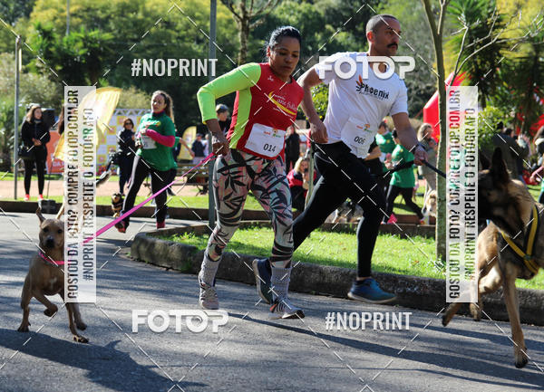 Buy your photos of the eventVai Tot� Canicross Caxias do Sul on Fotop