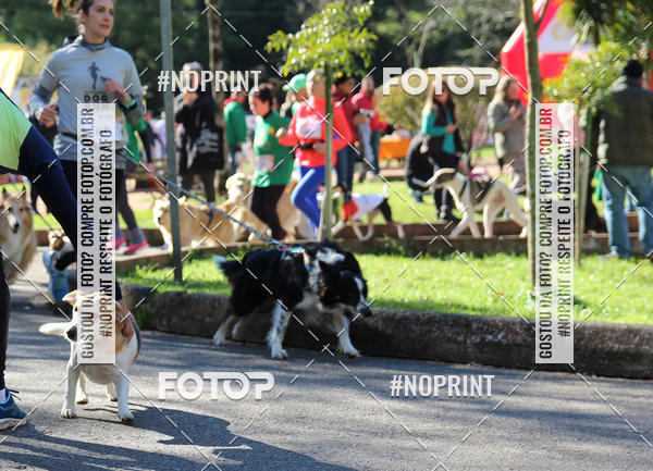 Buy your photos of the eventVai Tot� Canicross Caxias do Sul on Fotop