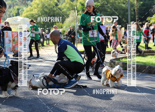 Buy your photos of the eventVai Tot� Canicross Caxias do Sul on Fotop