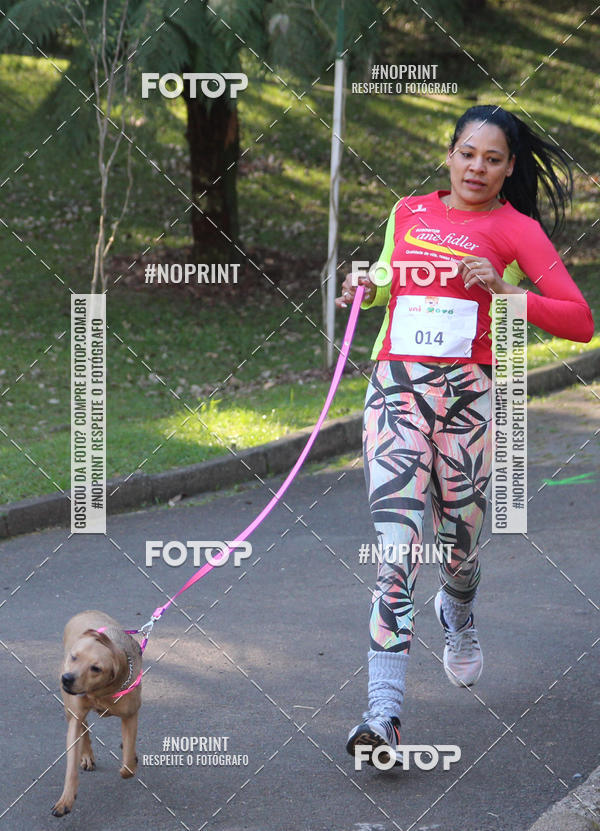 Buy your photos of the eventVai Tot� Canicross Caxias do Sul on Fotop