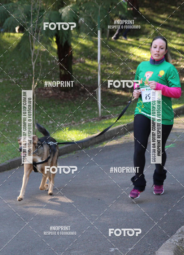 Buy your photos of the eventVai Tot� Canicross Caxias do Sul on Fotop