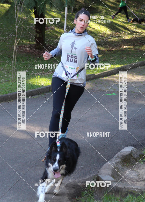 Buy your photos of the eventVai Tot� Canicross Caxias do Sul on Fotop