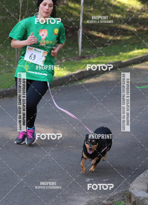 Buy your photos of the eventVai Tot� Canicross Caxias do Sul on Fotop