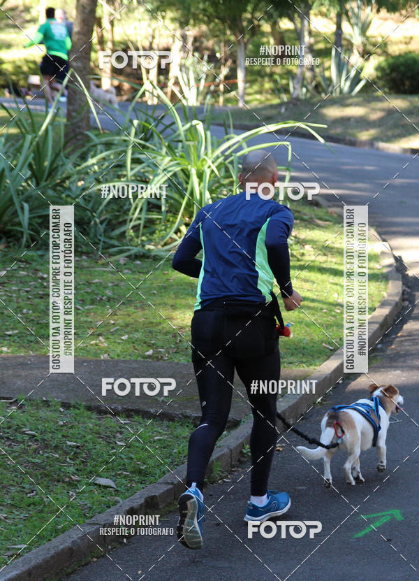 Buy your photos of the eventVai Tot� Canicross Caxias do Sul on Fotop