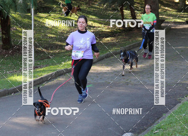 Buy your photos of the eventVai Tot� Canicross Caxias do Sul on Fotop