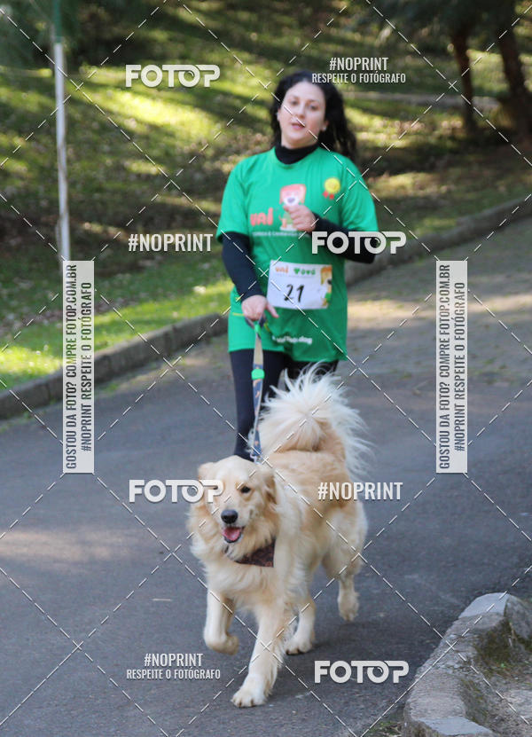 Buy your photos of the eventVai Tot� Canicross Caxias do Sul on Fotop