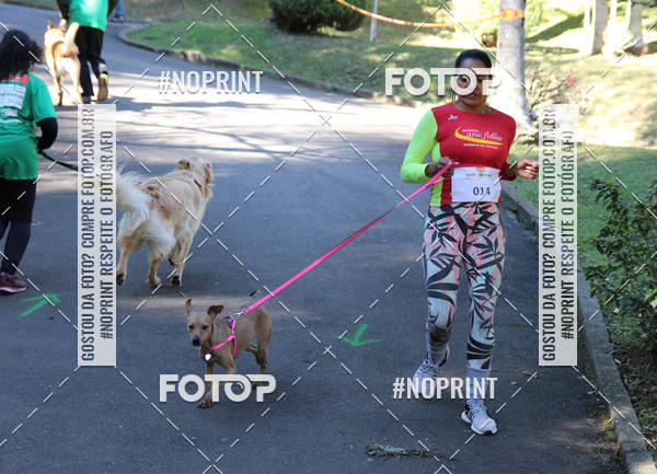 Buy your photos of the eventVai Tot� Canicross Caxias do Sul on Fotop