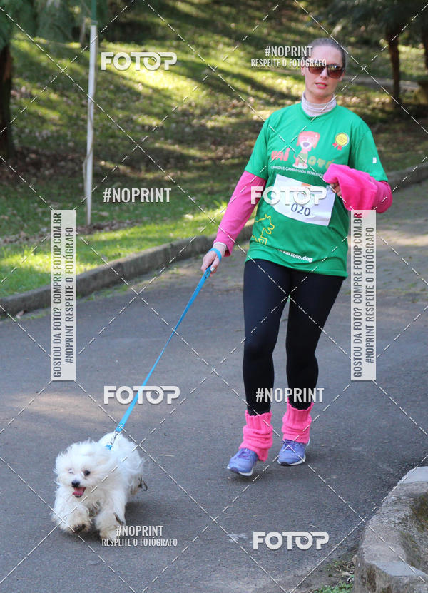 Buy your photos of the eventVai Tot� Canicross Caxias do Sul on Fotop