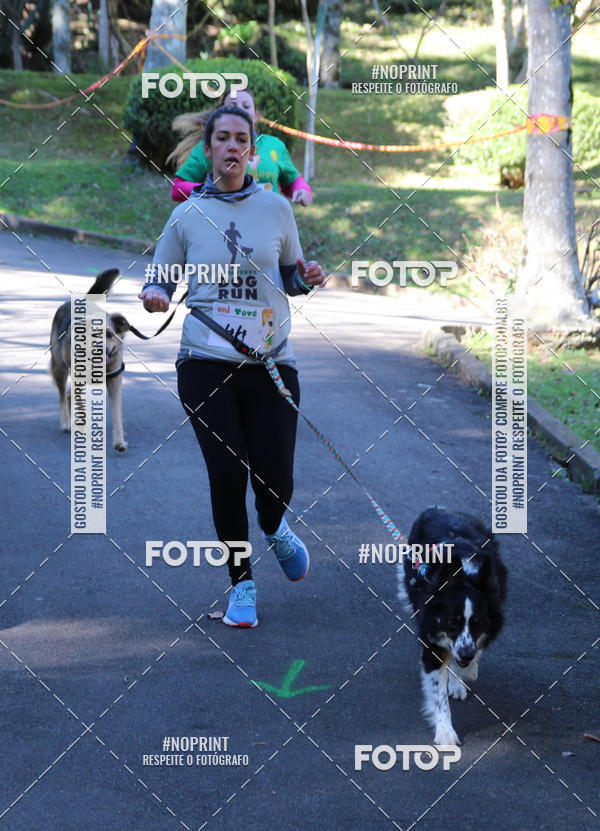 Buy your photos of the eventVai Tot� Canicross Caxias do Sul on Fotop