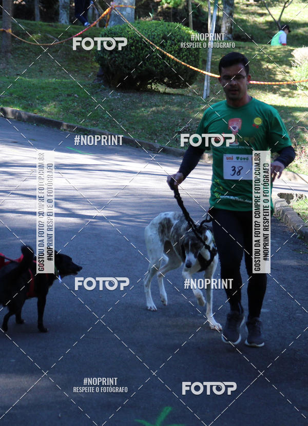 Buy your photos of the eventVai Tot� Canicross Caxias do Sul on Fotop