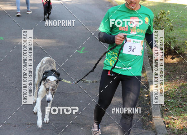 Buy your photos of the eventVai Tot� Canicross Caxias do Sul on Fotop