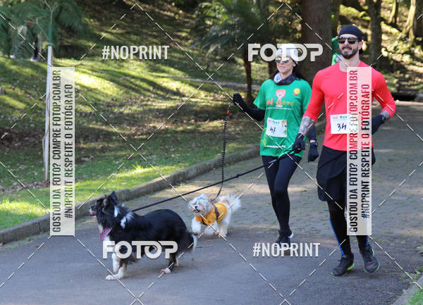 Buy your photos of the eventVai Tot� Canicross Caxias do Sul on Fotop