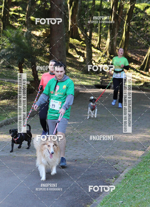 Buy your photos of the eventVai Tot� Canicross Caxias do Sul on Fotop