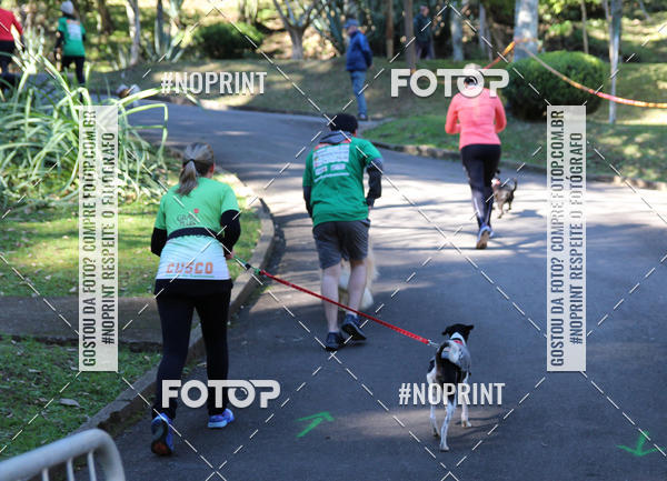 Buy your photos of the eventVai Tot� Canicross Caxias do Sul on Fotop