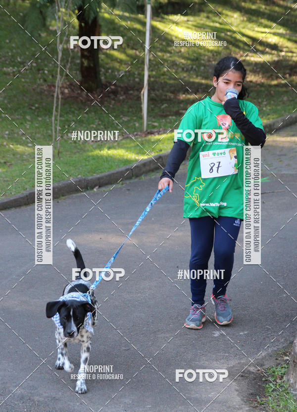 Buy your photos of the eventVai Tot� Canicross Caxias do Sul on Fotop