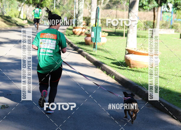 Buy your photos of the eventVai Tot� Canicross Caxias do Sul on Fotop