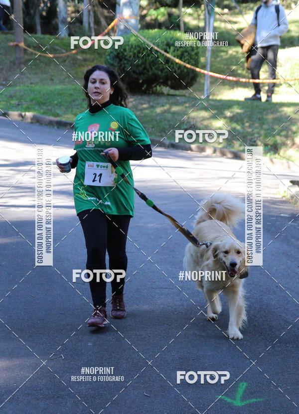 Buy your photos of the eventVai Tot� Canicross Caxias do Sul on Fotop