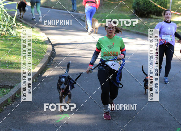 Buy your photos of the eventVai Tot� Canicross Caxias do Sul on Fotop