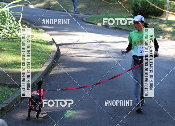 Buy your photos of the eventVai Tot� Canicross Caxias do Sul on Fotop