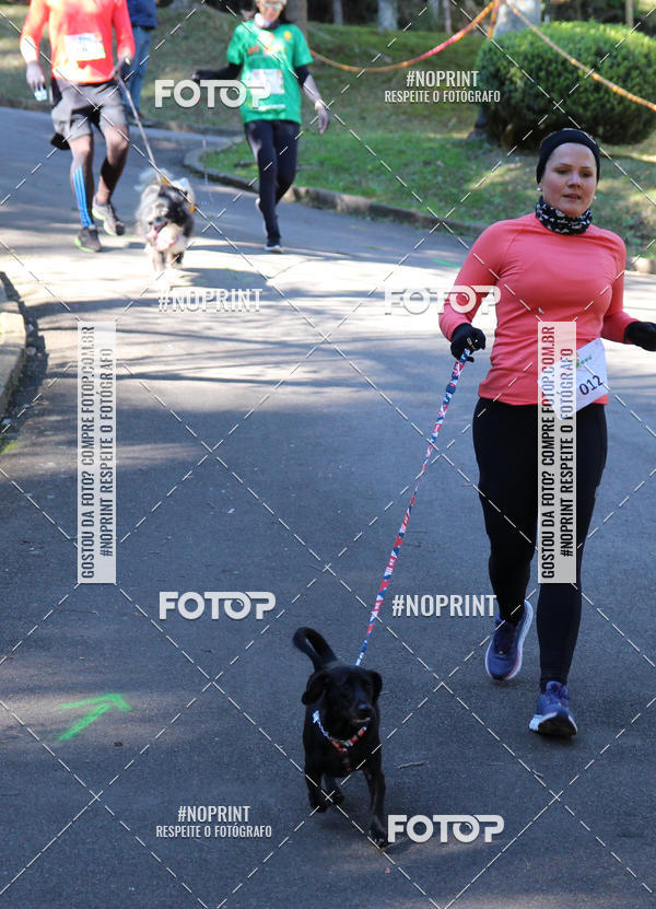 Buy your photos of the eventVai Tot� Canicross Caxias do Sul on Fotop