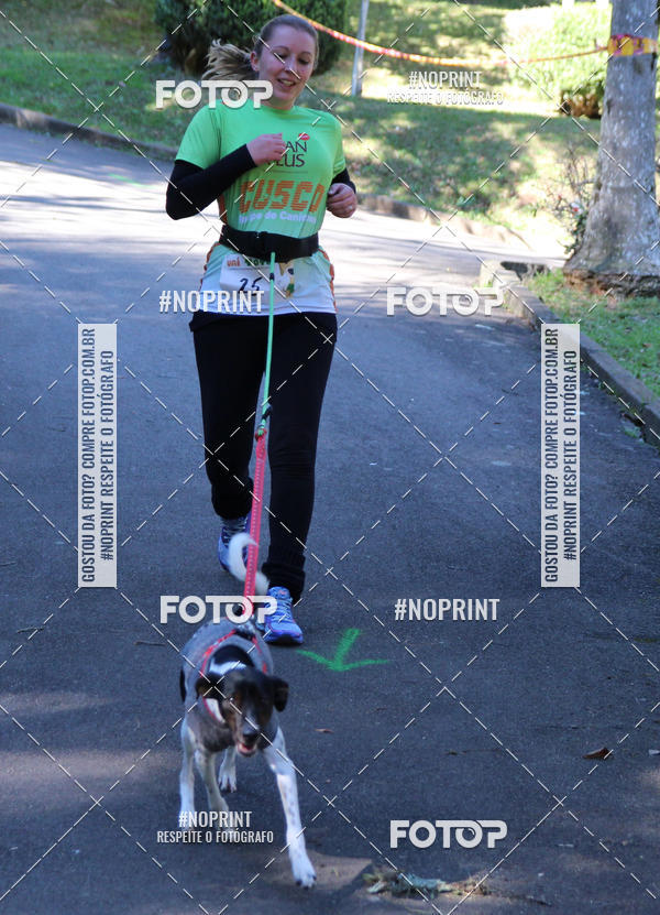 Buy your photos of the eventVai Tot� Canicross Caxias do Sul on Fotop