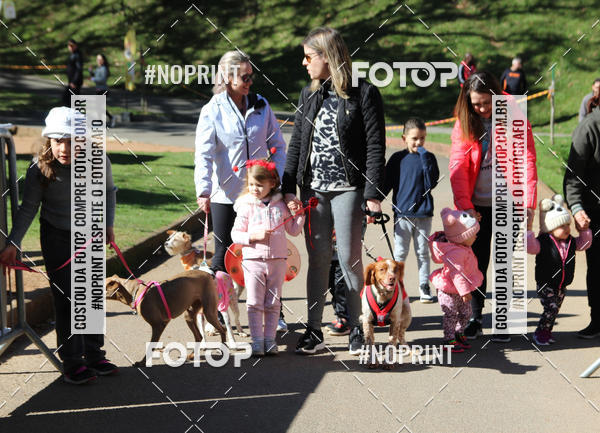 Buy your photos of the eventVai Tot� Canicross Caxias do Sul on Fotop