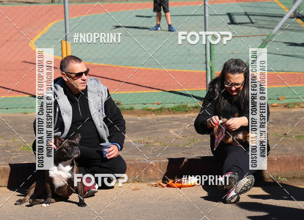 Buy your photos of the eventVai Tot� Canicross Caxias do Sul on Fotop