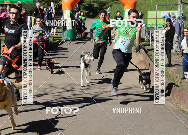 Buy your photos of the eventVai Tot� Canicross Caxias do Sul on Fotop