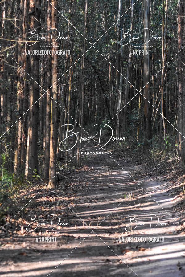 Buy your photos of the event2� Corrida Turistica de Corumbata� on Fotop