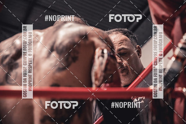 Achetez vos photos de l'vnementINFIGHT sur Fotop