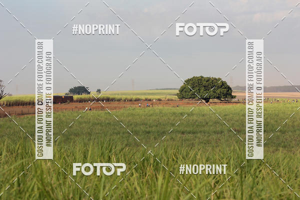 Buy your photos of the event2 Cross Duathlon Life Sports on Fotop