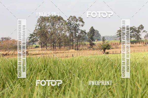 Buy your photos of the event2 Cross Duathlon Life Sports on Fotop