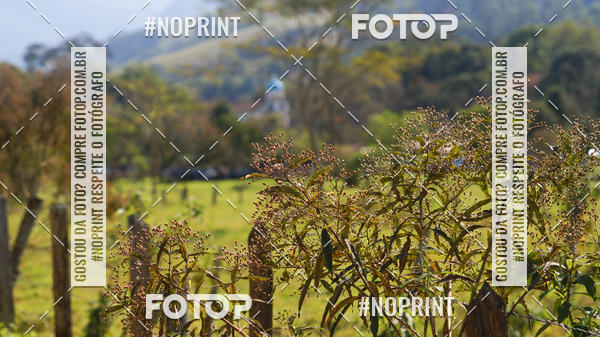 Buy your photos of the event3 DESAFIO 2019 CORRIDA DE MONTANHA on Fotop