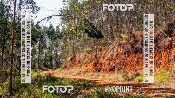 Buy your photos of the event3� DESAFIO 2019 CORRIDA DE MONTANHA on Fotop